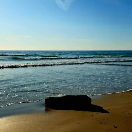 6 Person On A In Appartamento