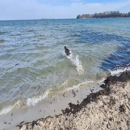 Appartamento 6 Person On A In